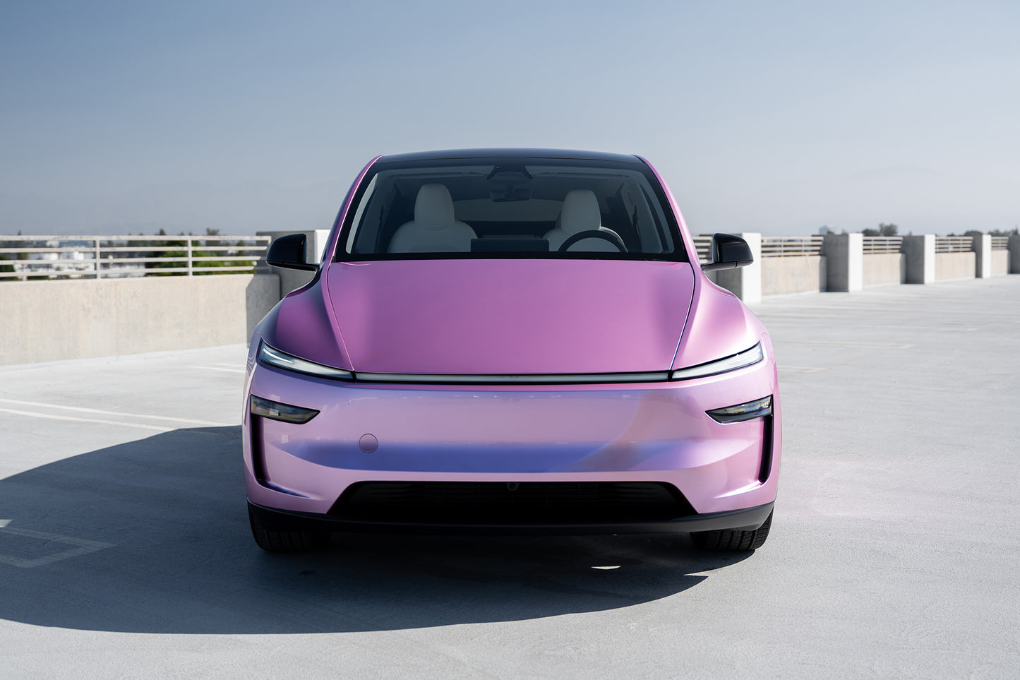 Colored PPF - Metallic Looly Pink