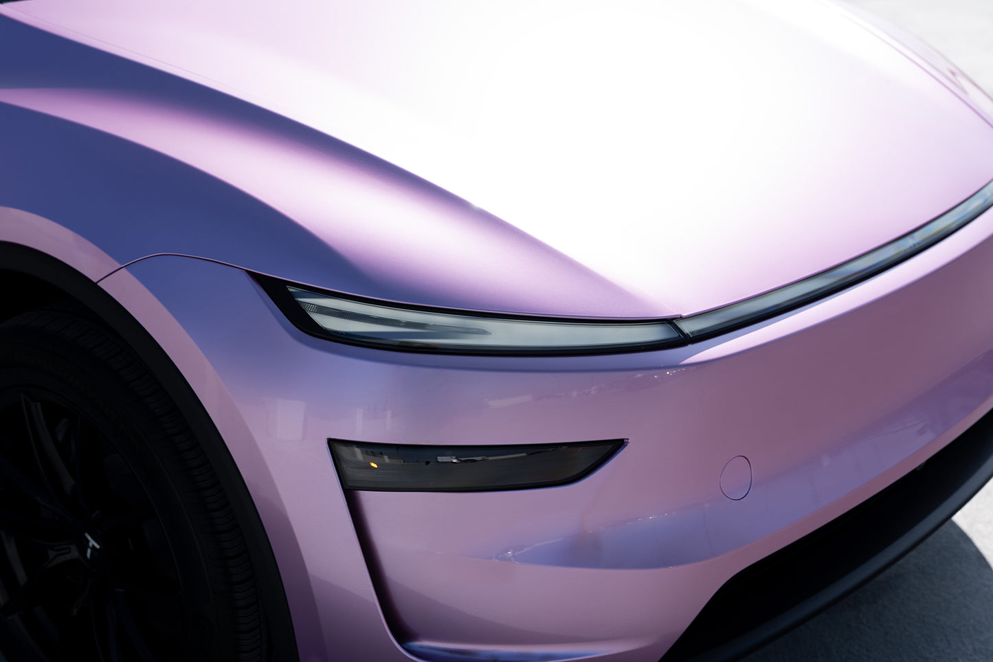 Colored PPF - Metallic Looly Pink